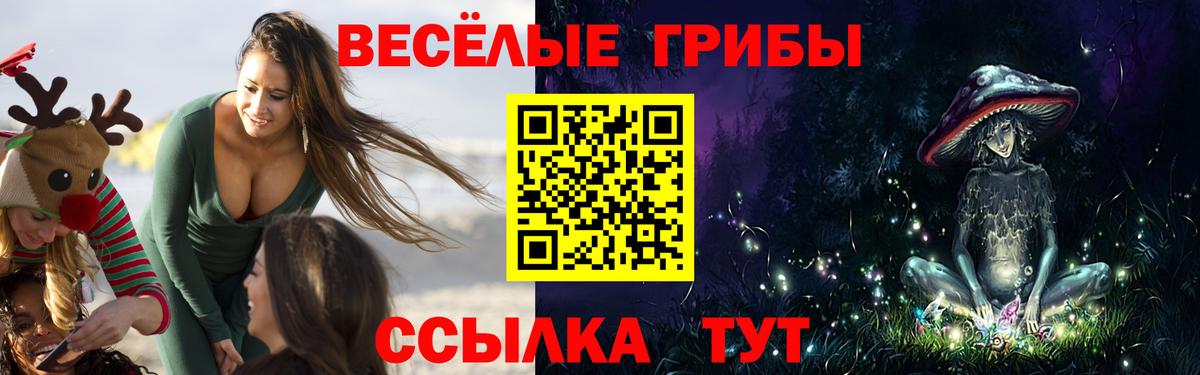 Галлюциногенные грибы прущие грибы  Вход с VPN  Волжск 